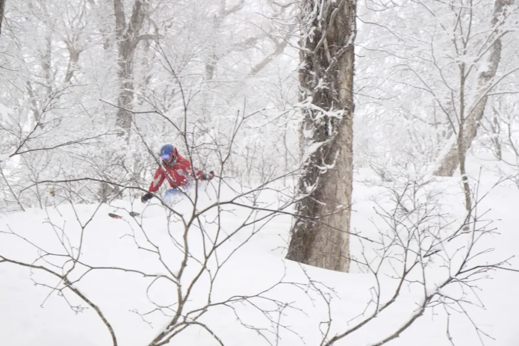 Skiing trees in Nozawa Onsen, Japan