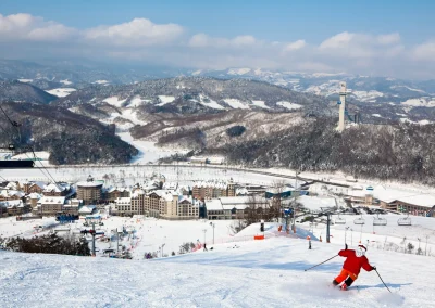 skier descending in South Korea