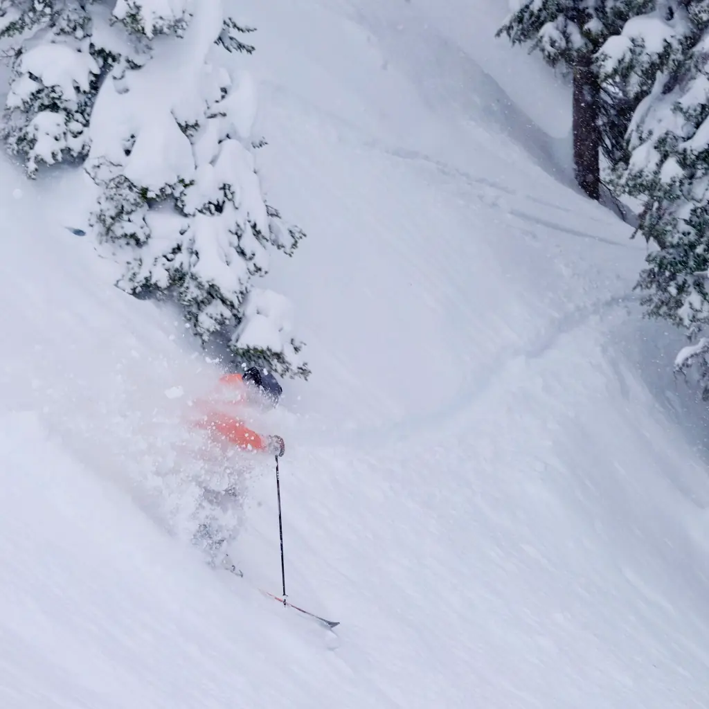 skier making powder fly in Pemberton