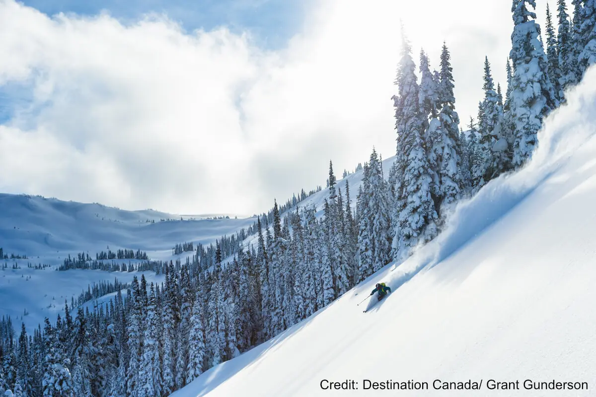 skier in deep powder in Whistler